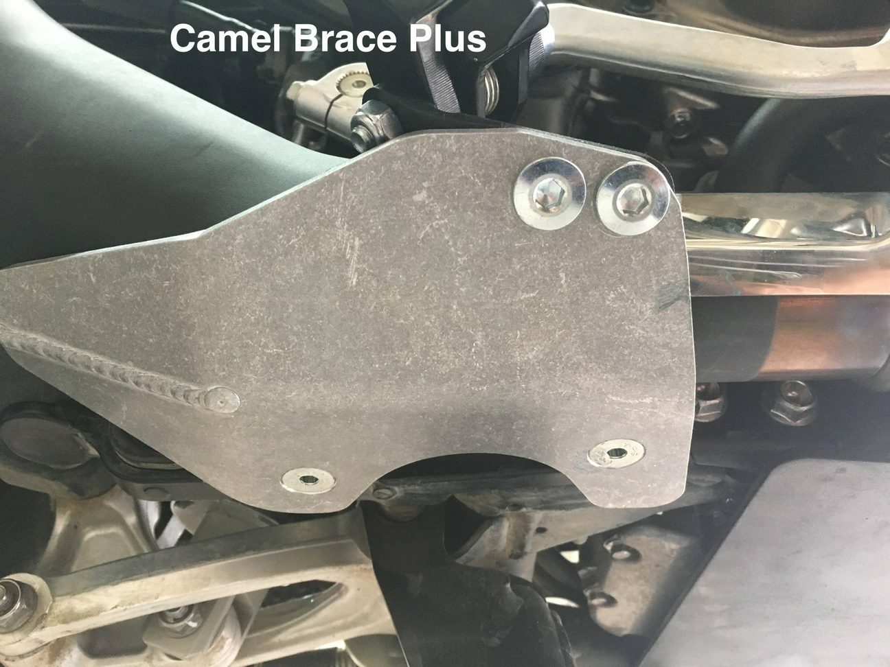 camel adv brace