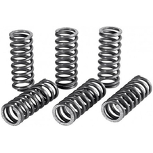 Newfren Suzuki DR650SE 96-21 Clutch Spring Kit