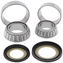 All Balls Suzuki DE800/Yamaha Tenere 700 Steering Bearing Kit