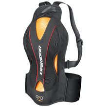 DriRider Evolution CE Back Protector