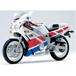 ROK Stopper Yamaha FZR600/750/1000 ('87-'89) Headlight Protector Kit