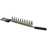 CruzTools 10-Piece Hex Bit Set