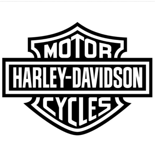 ROK Stopper Harley Davidson Driving Lights 110mm x 10mm Headlight Protector Kit