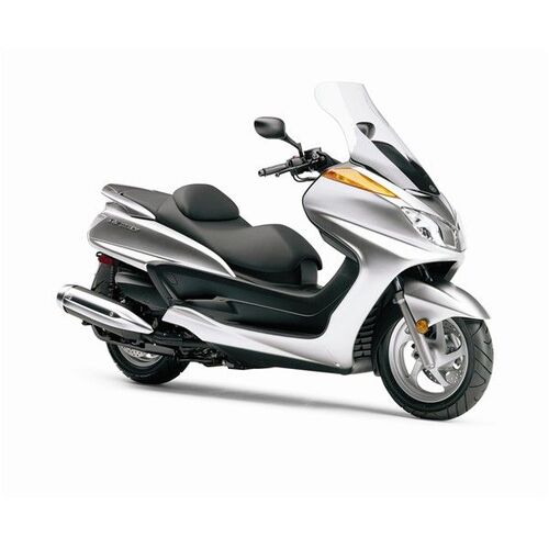 ROK Stopper Yamaha Majesty 400 ('06-'10) Headlight Protector Kit