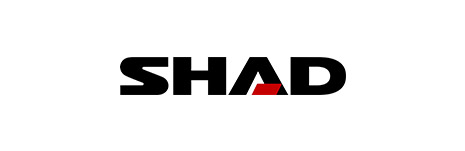 Shad